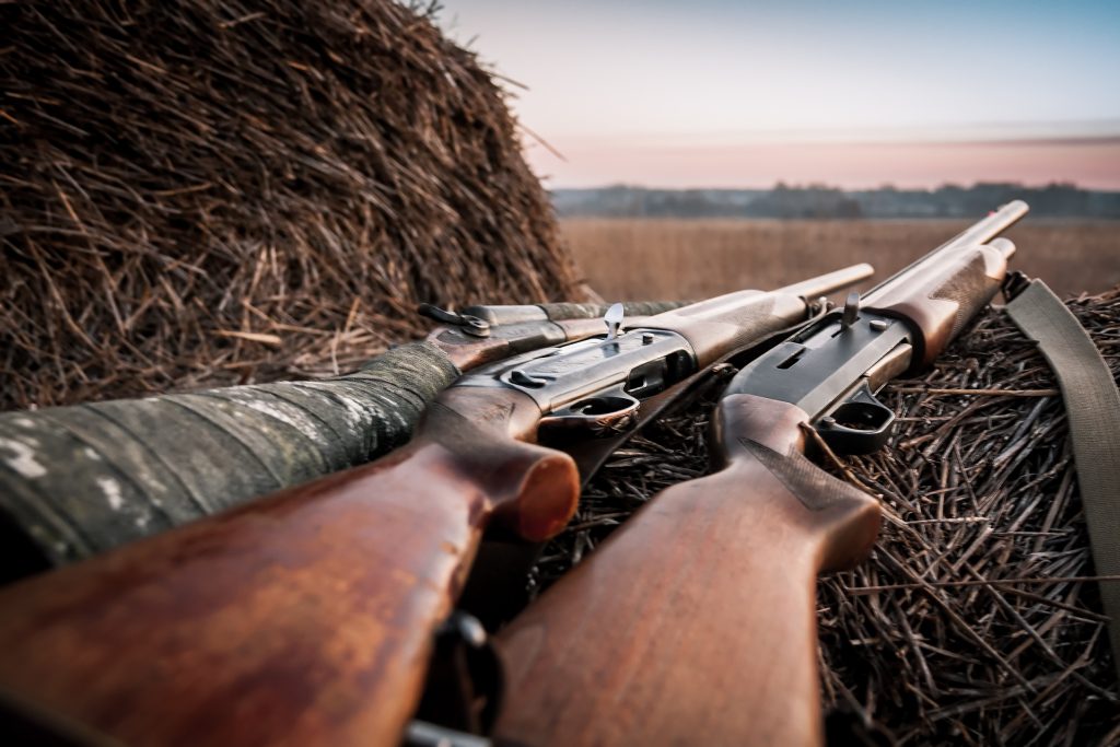 Hunting Shotguns On Haystack During Sunrise In Expectation Of Hunt